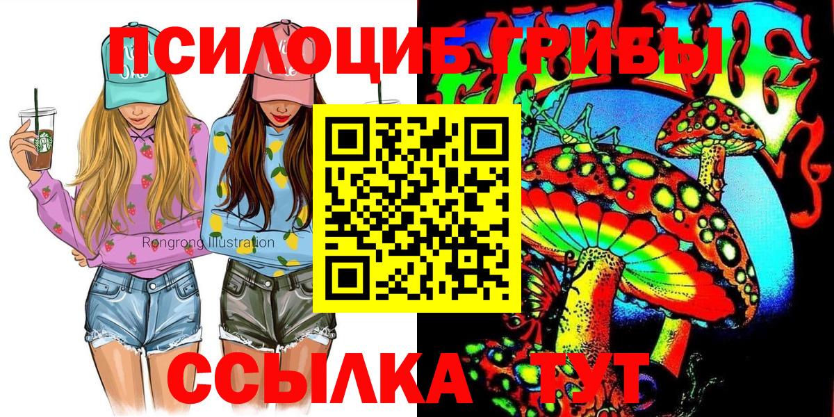 Псилоцибиновые грибы Cubensis Боровичи